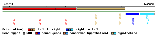 gene map