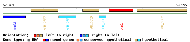 gene map