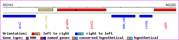 gene map