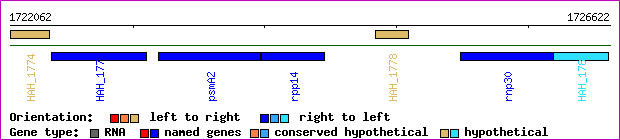 gene map