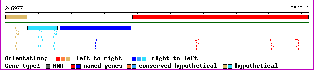 gene map