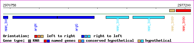 gene map
