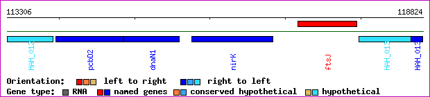 gene map