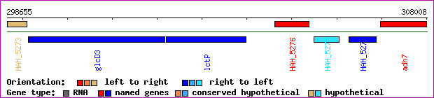gene map