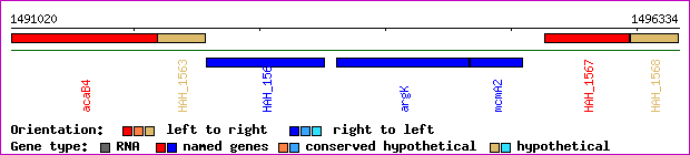 gene map