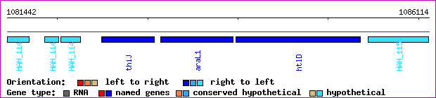 gene map