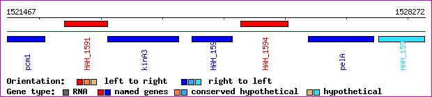 gene map