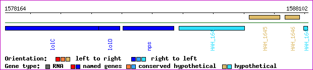 gene map