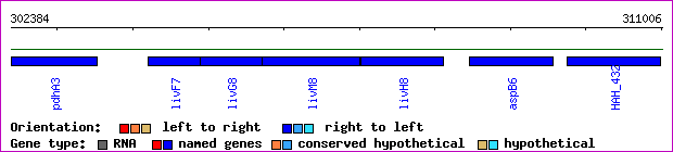gene map