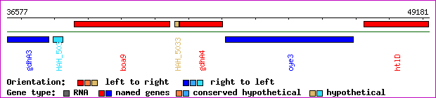 gene map