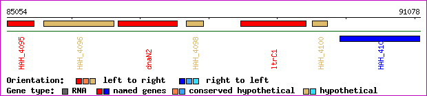 gene map