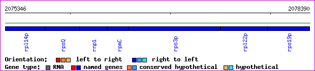 gene map