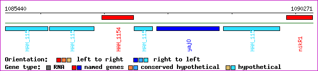 gene map
