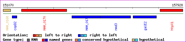 gene map