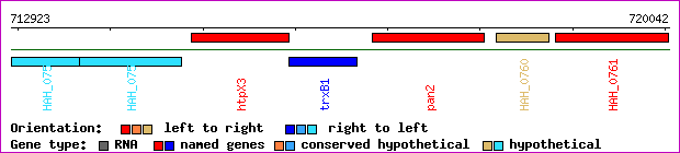 gene map