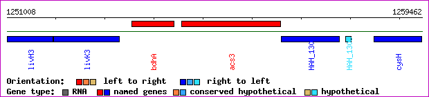 gene map
