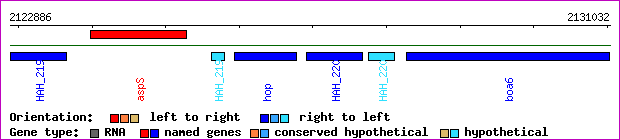 gene map