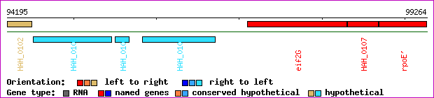 gene map