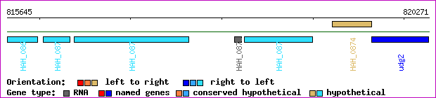 gene map