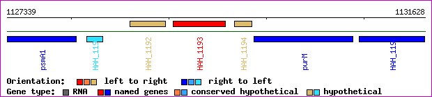 gene map