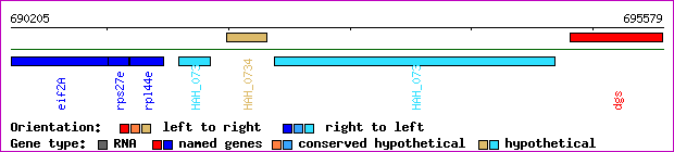 gene map