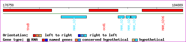 gene map