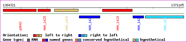 gene map