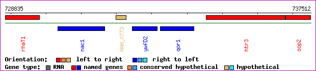 gene map