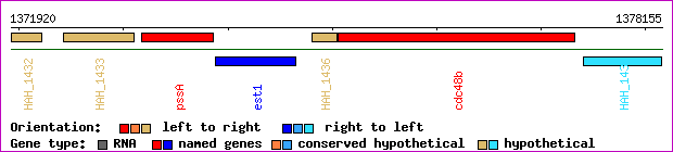 gene map