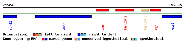gene map