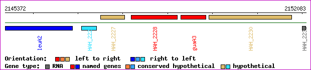gene map