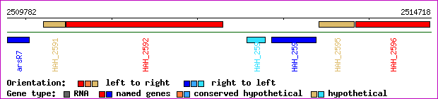gene map