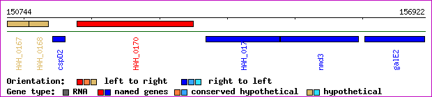 gene map