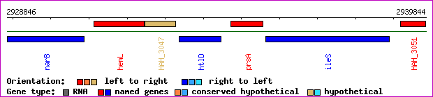 gene map