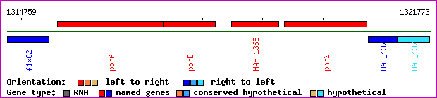 gene map
