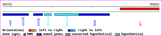 gene map