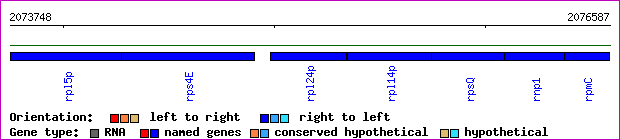 gene map