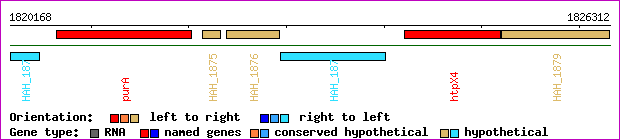 gene map