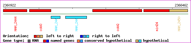 gene map
