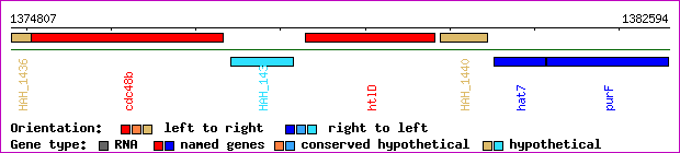 gene map