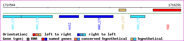 gene map