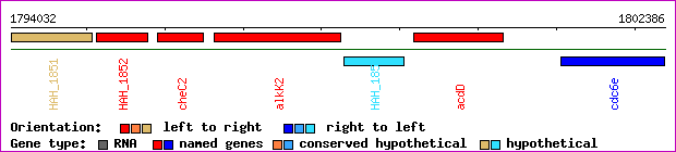 gene map