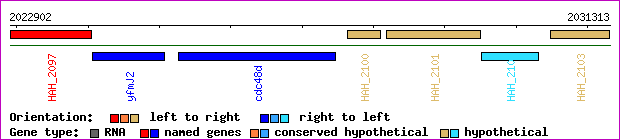 gene map