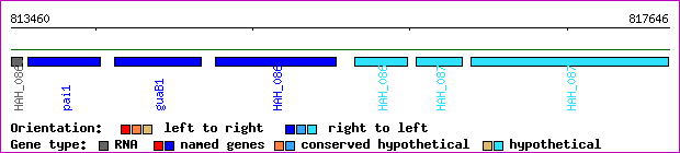 gene map