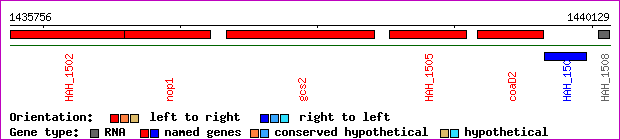 gene map