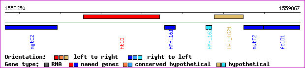 gene map