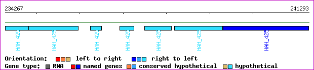 gene map