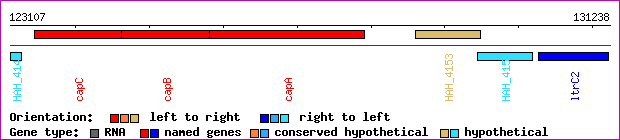 gene map