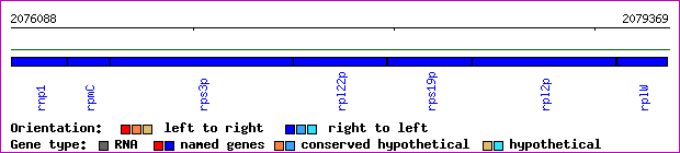 gene map