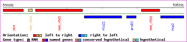 gene map